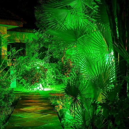 Samui Green Space Resort 湄南海滩 外观 照片